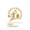 Forêt d'Exception