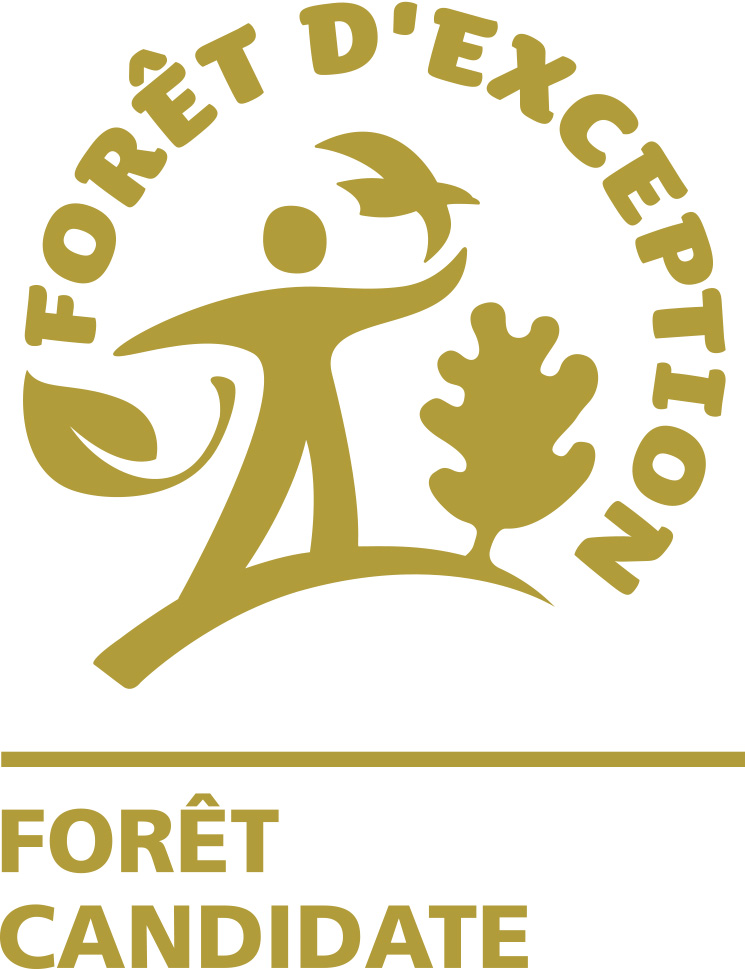 Forêt d'Exception