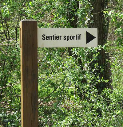 Le sentier sportif en forêt domaniale de Marly