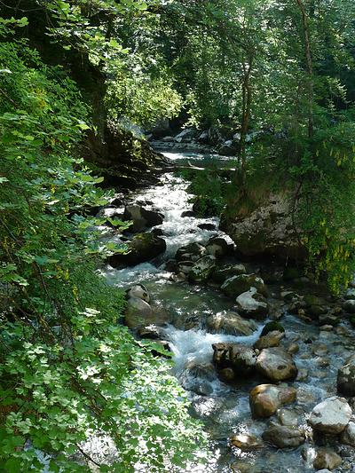 La rivière Le Guiers Mort traverse la forêt domaniale de Grande Chartreuse, qui s'étend sur plus de 8 000 hectares