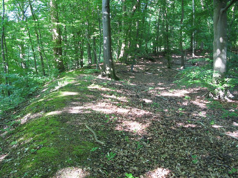 La forêt de La Londe-Rouvray a protégé plusieurs vestiges archéologiques, témoins d'une vie très ancienne sur ce territoire