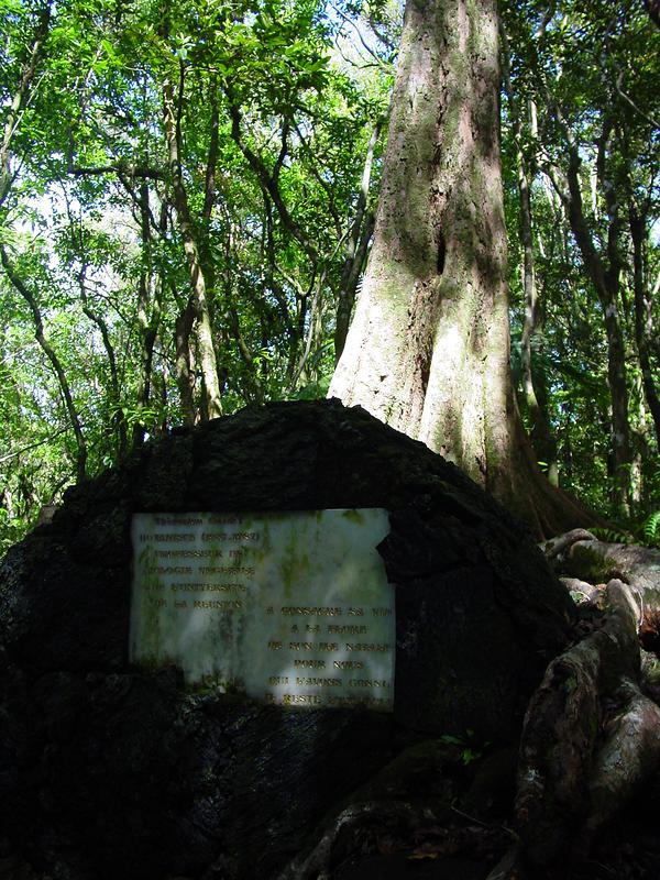 Une stèle est dédiée à Thérésien Cadet, célèbre botaniste réunionnais
