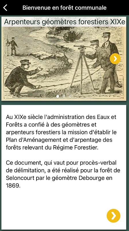 Arpenteurs géomètres forestiers (XIXe siècle)