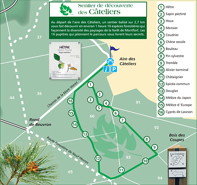 Le sentier de découverte des Cateliers abrite 16 essences d'arbres. Retrouvez la carte dans le bloc "Pour se prépareer"