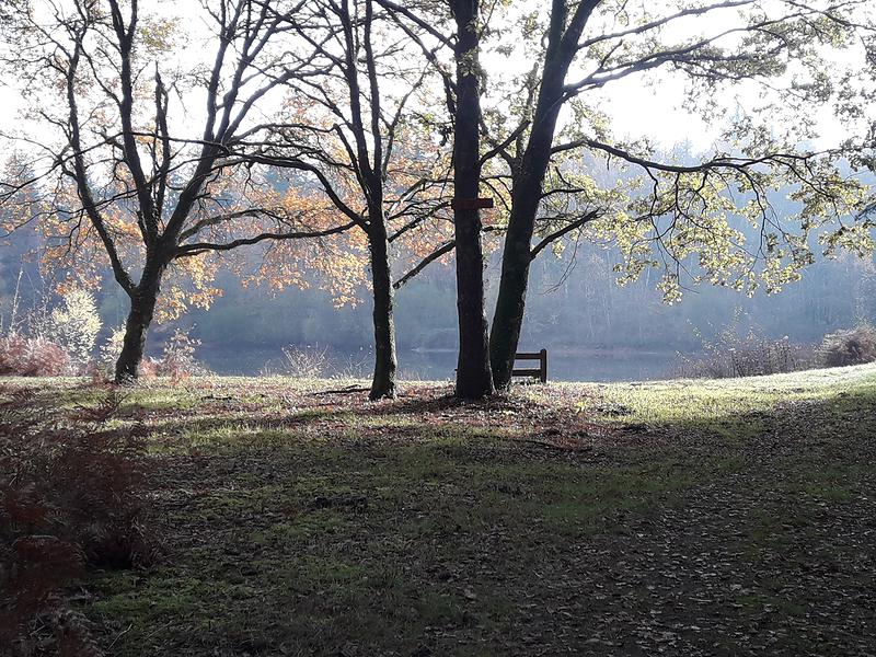 L'étang de Jarnonce en automne
