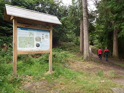 Le sentier est dédié à la découverte de la forêt et de sa gestion