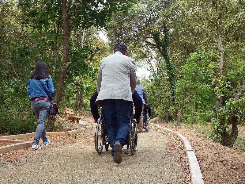 Un revêtement accessible aux fauteuils roulants permet de traverser la forêt dans des conditions optimales de sécurité