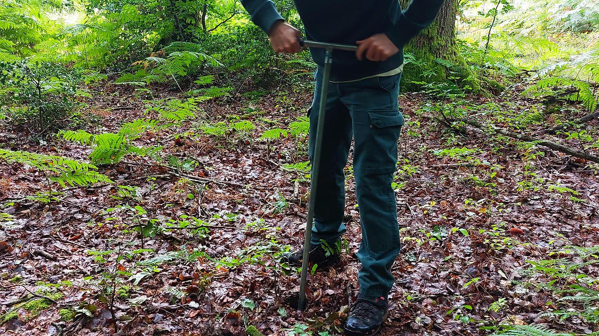 Photo d'un forestier utilisant  la tarière pour prélever un échantillon, également appelé carotte, et l'étudier.