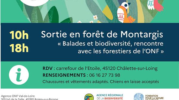 Affiche de l'événement du 09/06 en forêt de Montargis