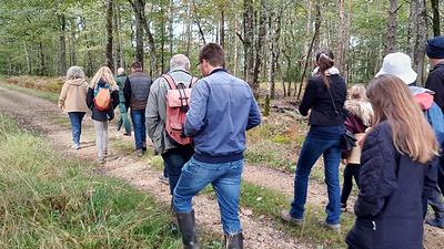 Tous en forêt avec l'ONF : des balades commentées dans les forêts domaniales d'Indre-et-Loire, de Loir-et-Cher et du Loiret.