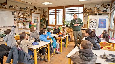 Photo de l'école de la campagne et de la forêt en forêt de Marly
