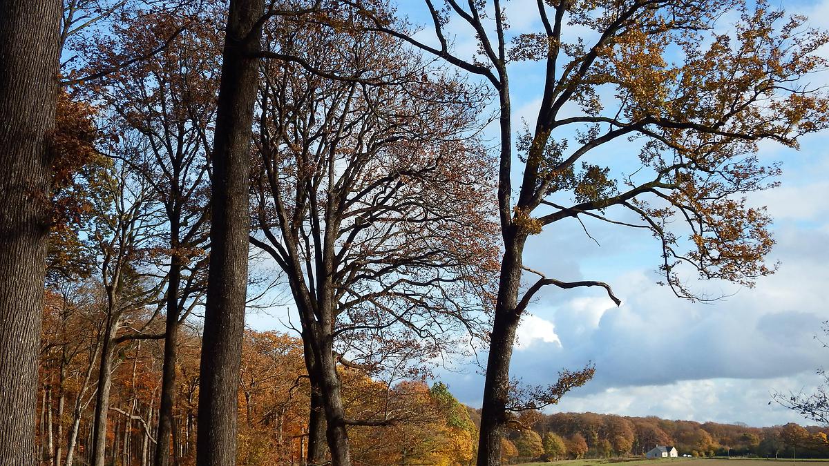 Nature et Découvertes, projet exemplaire - France Bois Forêt