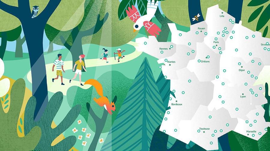 Partez à la découverte des forêts de France métropolitaine et d'Outre-mer