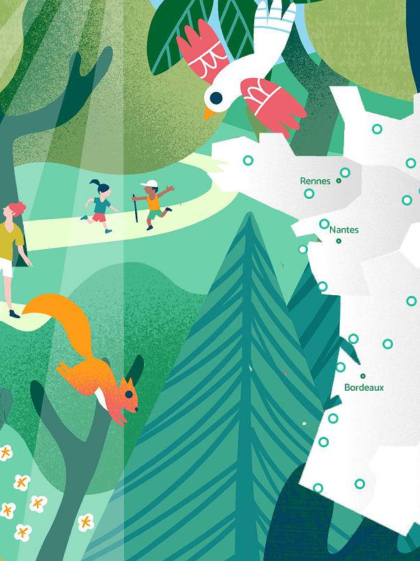 Partez à la découverte des forêts de France métropolitaine et d'Outre-mer