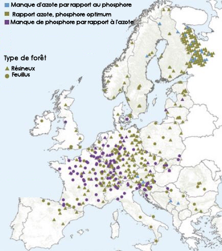 Tendances du rapport Azote/Phosphore dans le feuillage, dans les forêts européennes, sur la période 1996-2016.