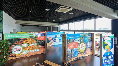 Ambiance générale de la scénographie de l’exposition Dunes & Forêts : les gardiennes du littoral