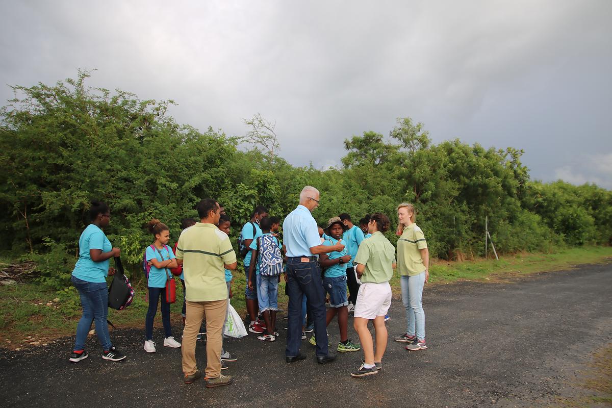 Appel à candidatures pour 3 chargés de mission en Guadeloupe