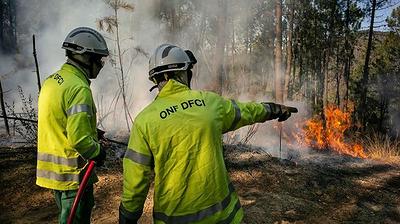 Pompiers en intervention sur un incendie