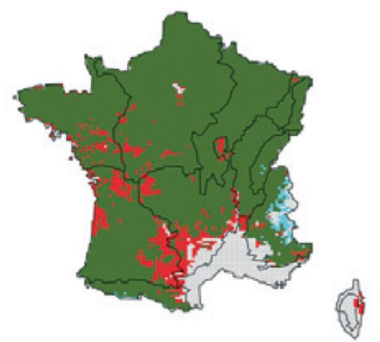 Exemple de simulation de la répartition du hêtre dans en 2055 avec le modèle PHENOFIT. En vert : zones où l’espèce serait présente actuellement et en 2055 ; en rouge : zones ou l’espèce disparaitrait en 2055 ; en bleu : zones colonisables pour l’espèce en 2055