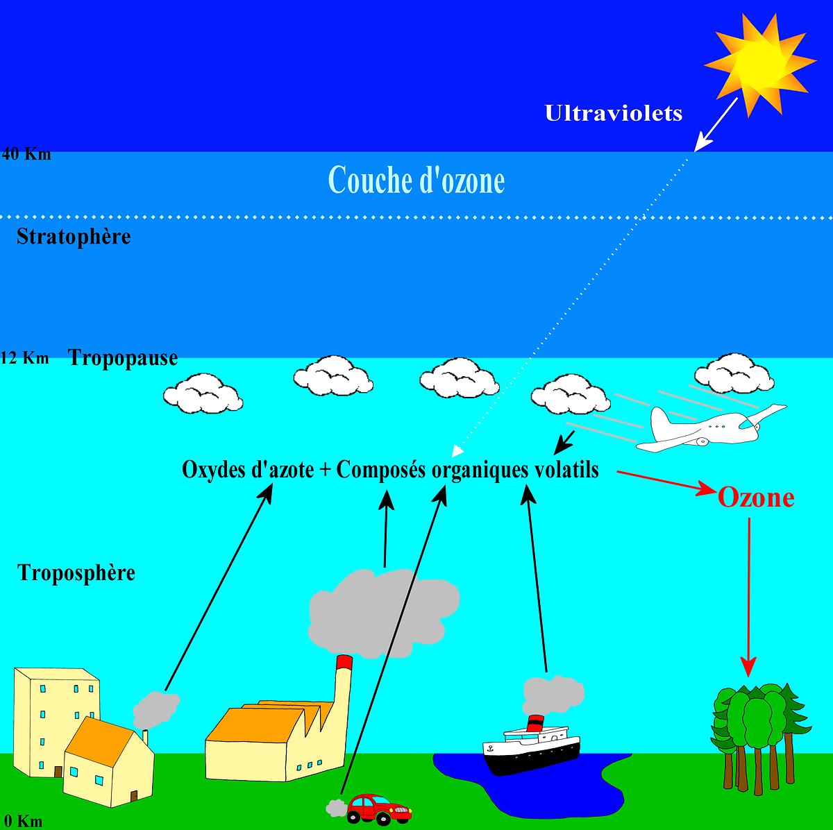 La formation de l’ozone dans la troposphère
