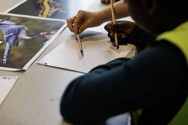 photo d'un jeune dessinant un oiseau lors d'un des ateliers de la Journée internationale des forêts 2024