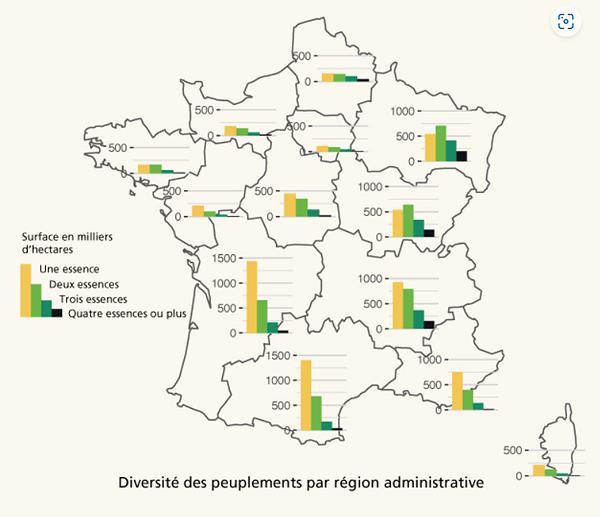Carte indiquant la répartition de la diversité des peuplements en France métropolitaine