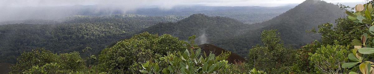 Vue sur la forêt primaire guyanaise depuis un inselberg d'origine volcanique