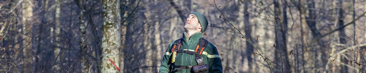 Mathiew Augery, technicien forestier territorial à l’ONF, lors d’une opération de martelage en forêt de Sourdon (Seine-et-Marne)
