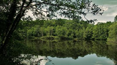Etang des Maffrais